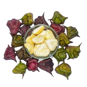 Singhara